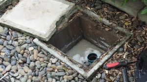 Drain Field Health in Anderson, SC