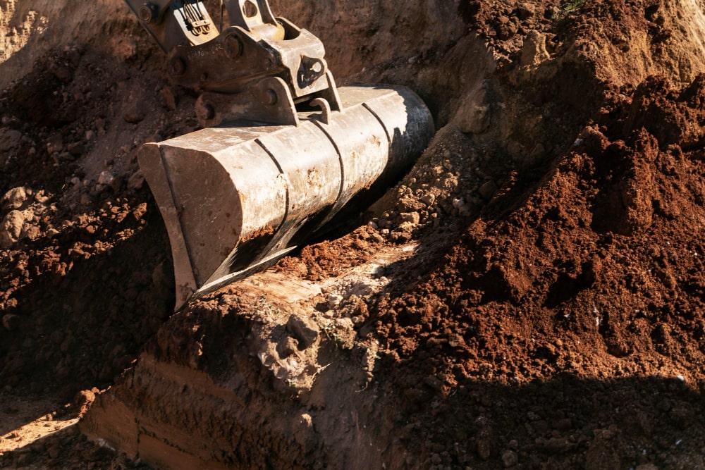 Preventive Measures for Drain Field Health