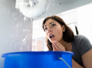 professional plumber