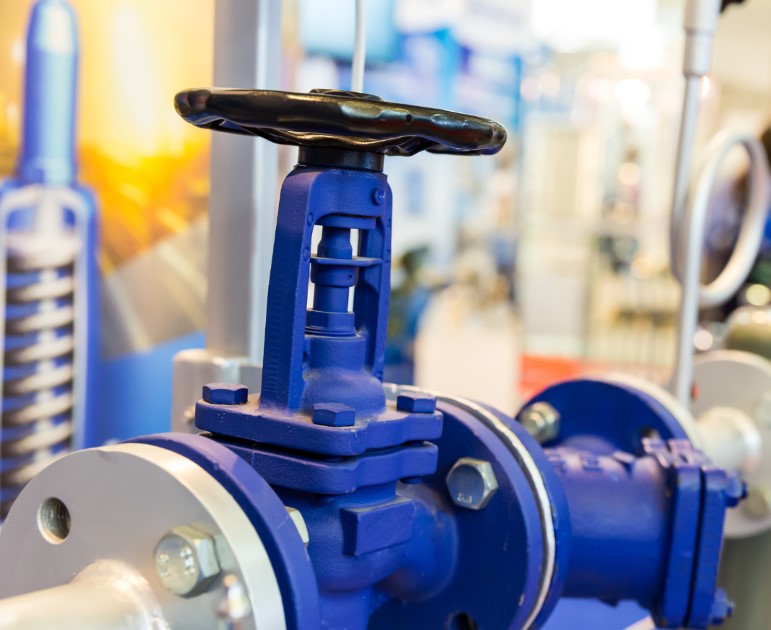 Double Check Valves