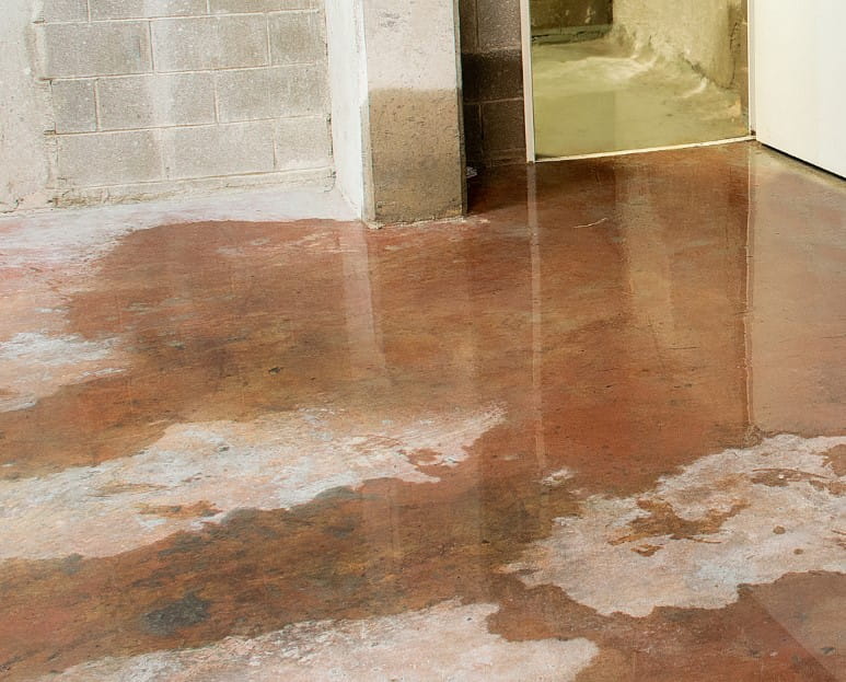 backflow prevention service